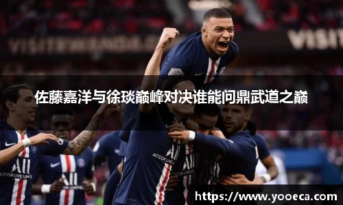 佐藤嘉洋与徐琰巅峰对决谁能问鼎武道之巅