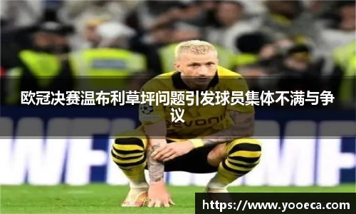 欧冠决赛温布利草坪问题引发球员集体不满与争议