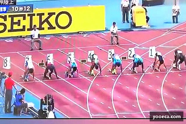 介绍九游会J9.COM